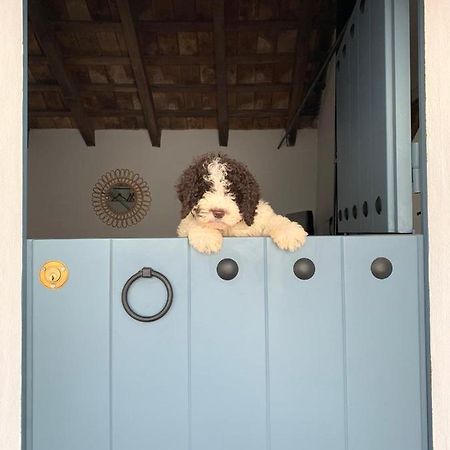 La Puerta Azul Villa Bornos Dış mekan fotoğraf