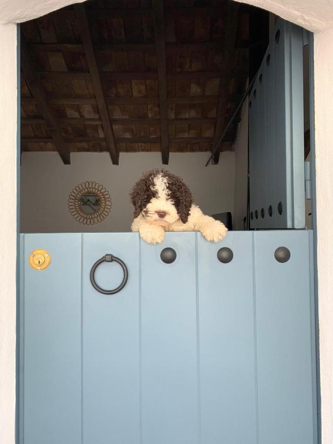 La Puerta Azul Villa Bornos Dış mekan fotoğraf