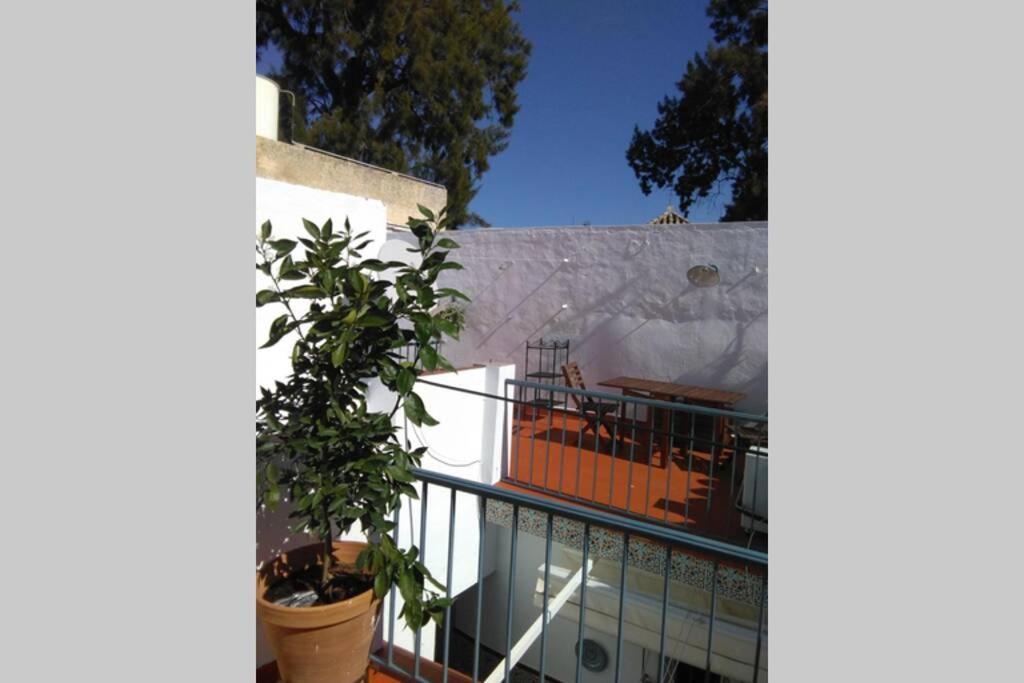 La Puerta Azul Villa Bornos Dış mekan fotoğraf