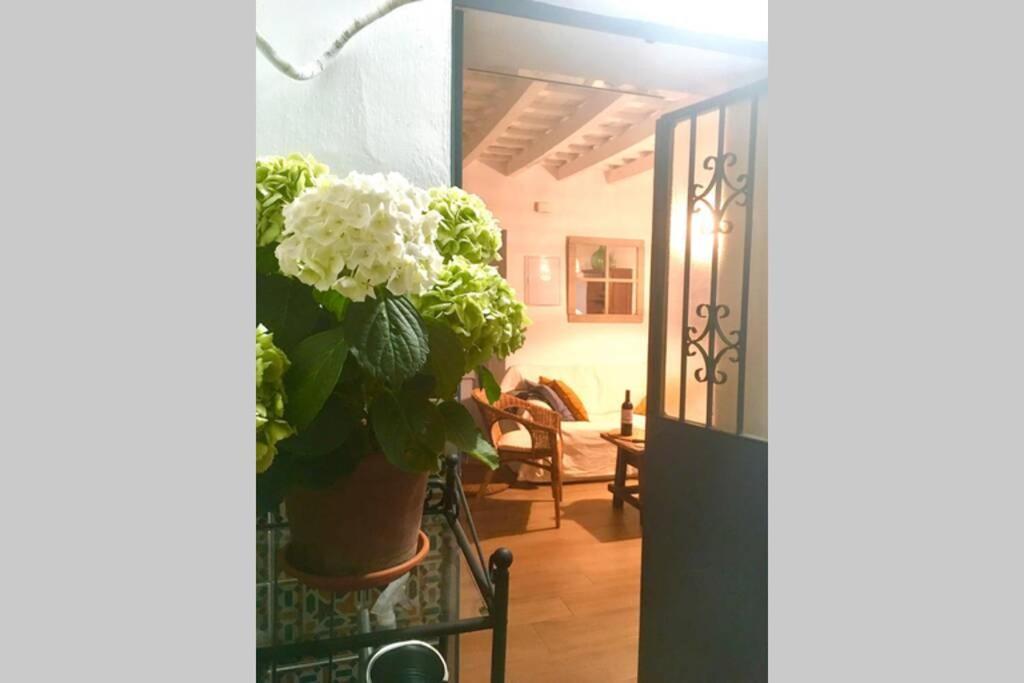 La Puerta Azul Villa Bornos Dış mekan fotoğraf