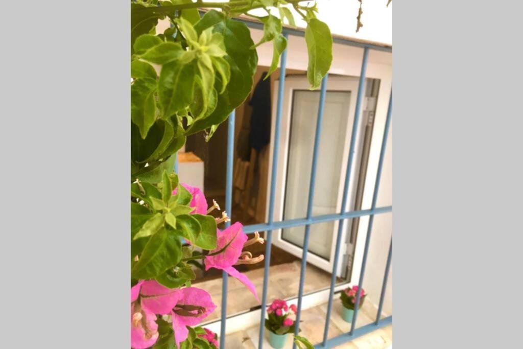 La Puerta Azul Villa Bornos Dış mekan fotoğraf