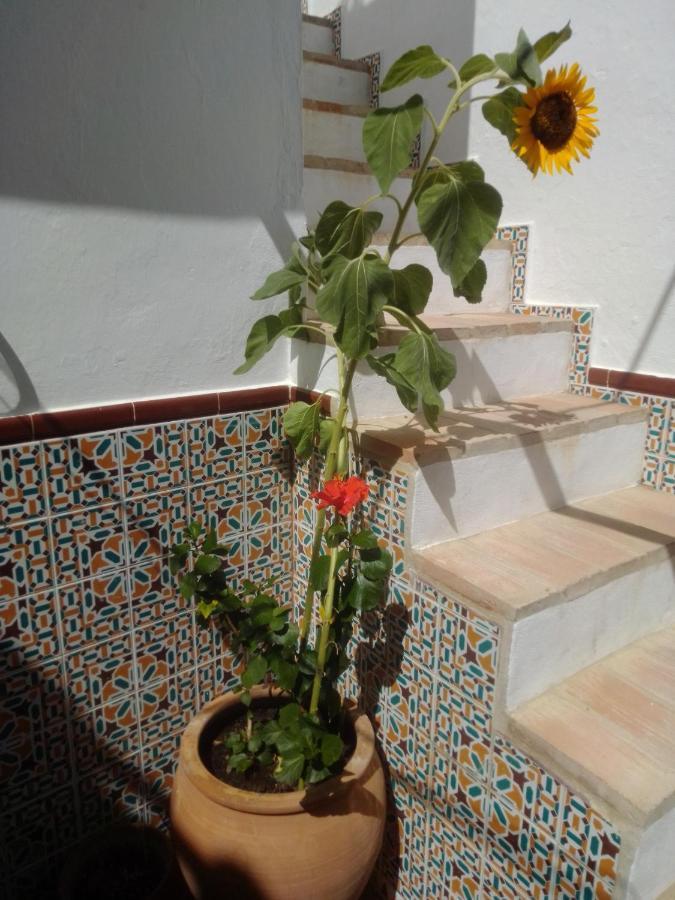 La Puerta Azul Villa Bornos Dış mekan fotoğraf