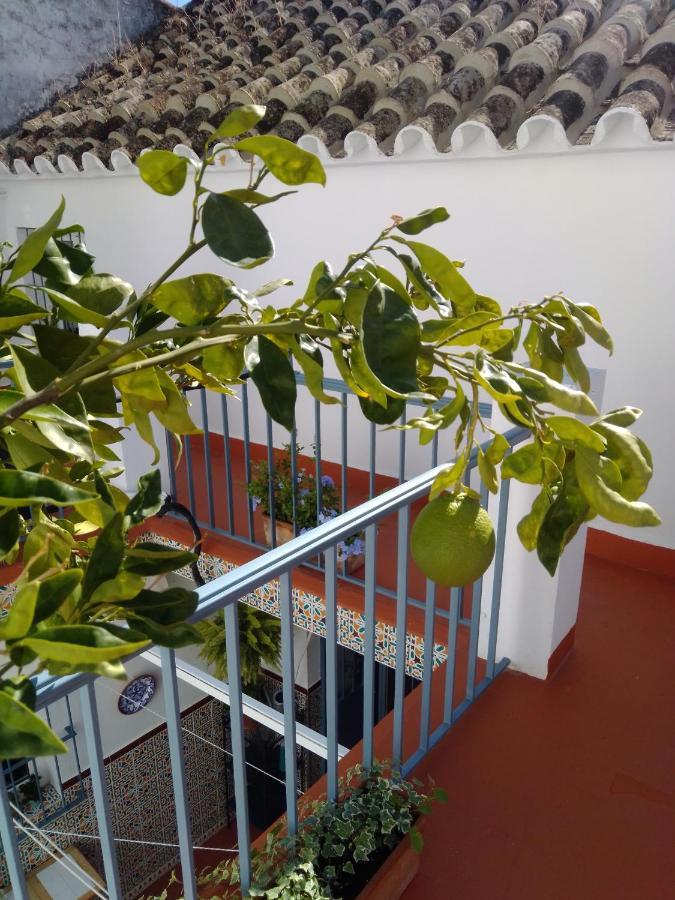 La Puerta Azul Villa Bornos Dış mekan fotoğraf