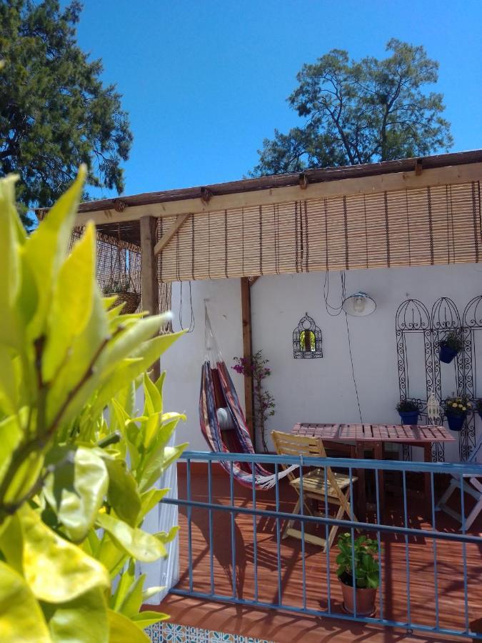 La Puerta Azul Villa Bornos Dış mekan fotoğraf