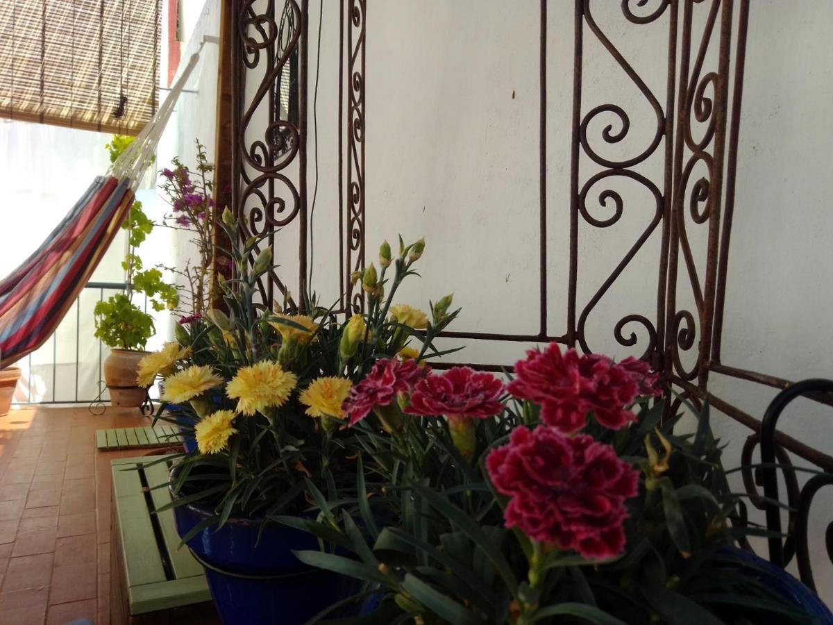 La Puerta Azul Villa Bornos Dış mekan fotoğraf
